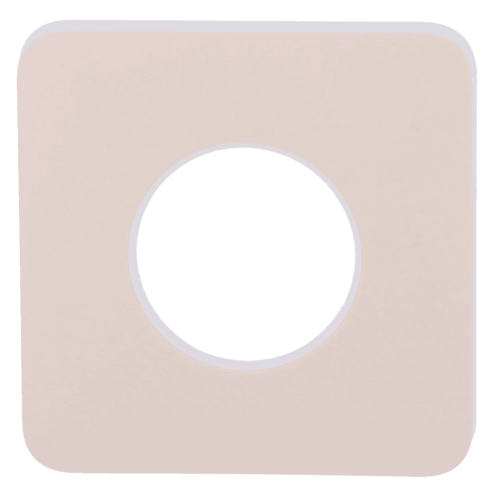 AJ-SOLOCOVER-IVO - imagen 3