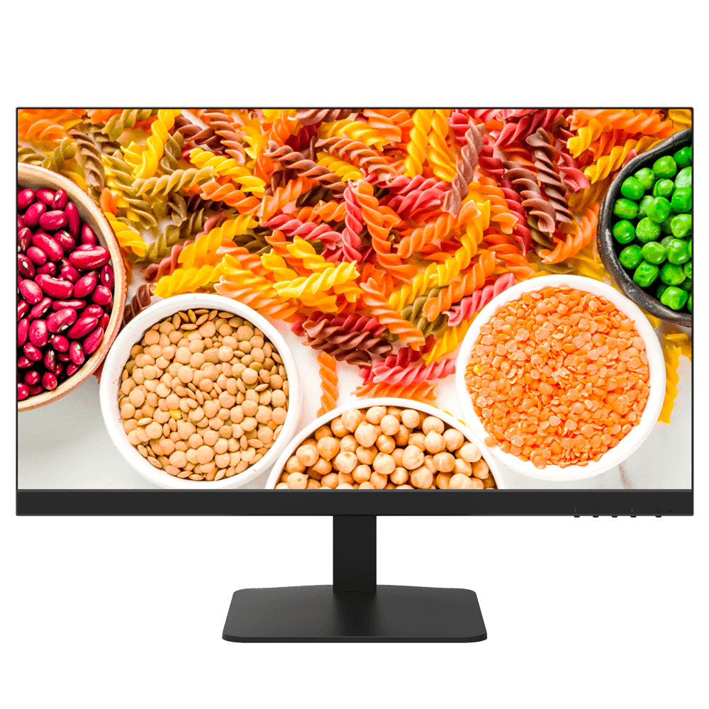 DS-D5024F2-1V2S - imagen 2