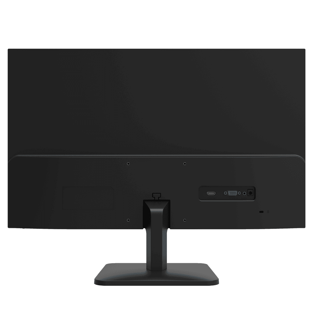 DS-D5024F2-1V2S - imagen 4