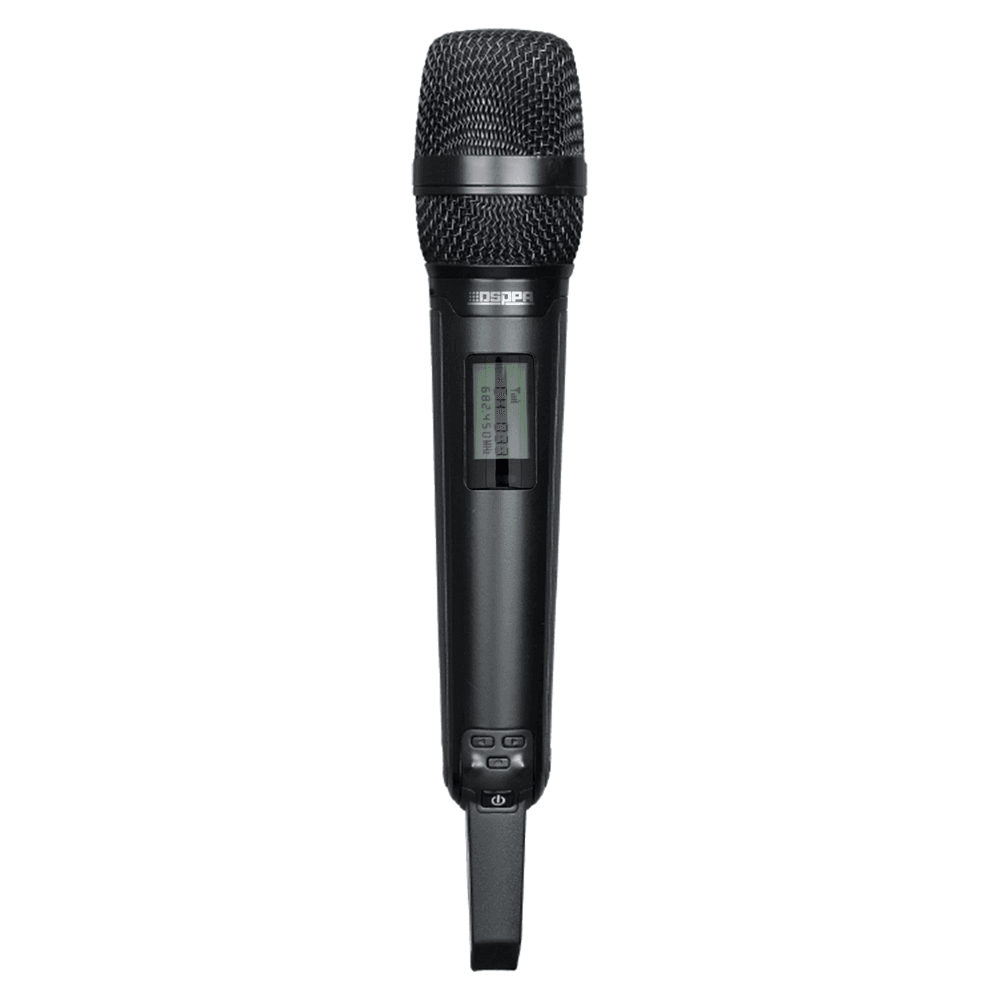 DSPPA-D5811 - imagen 2