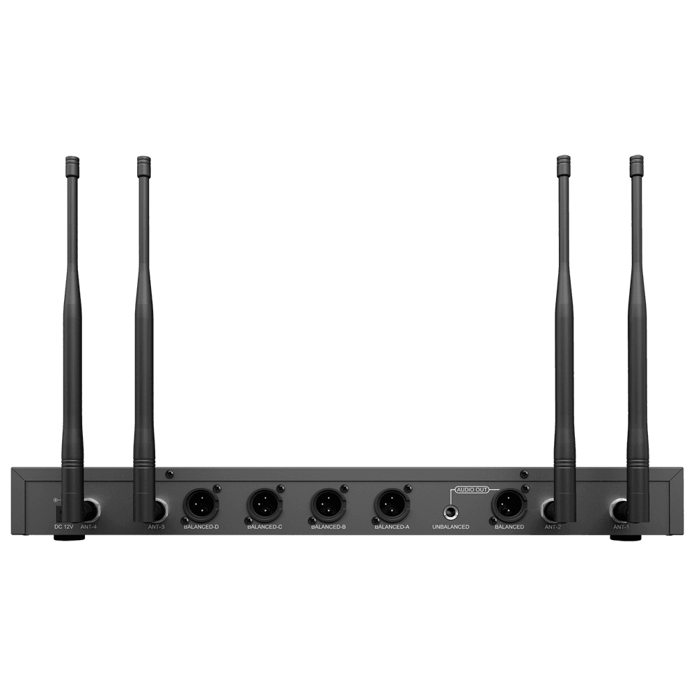 DSPPA-D5816 - imagen 2