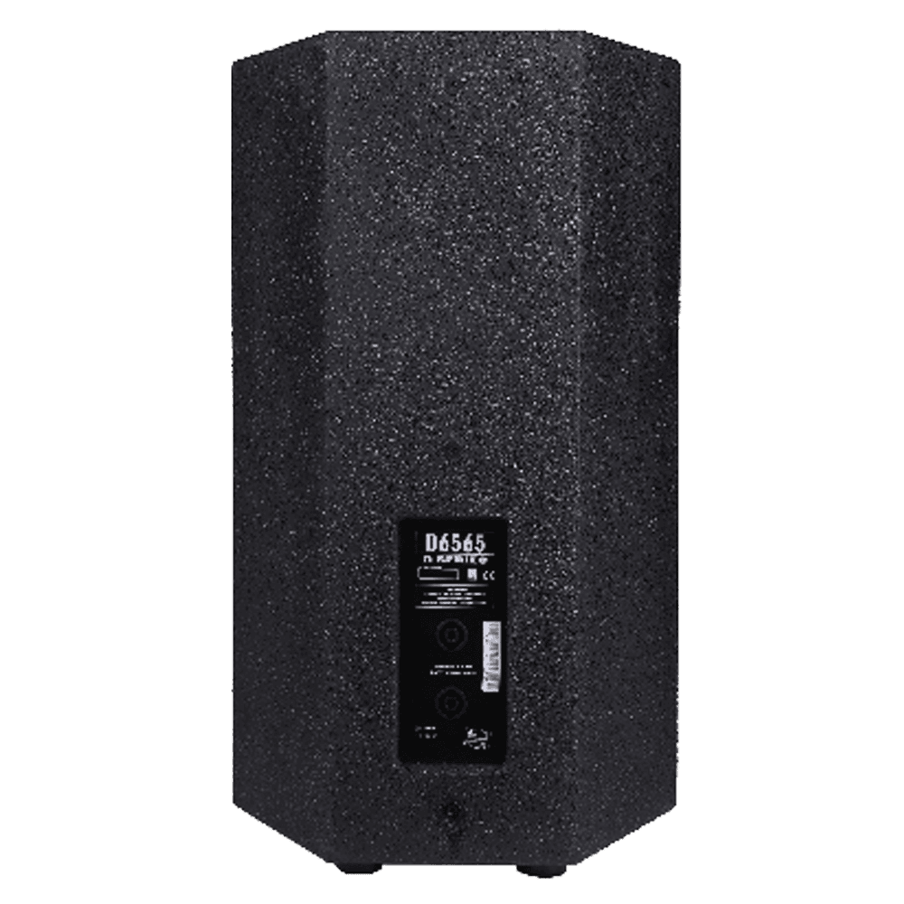 DSPPA-D6565 - imagen 2