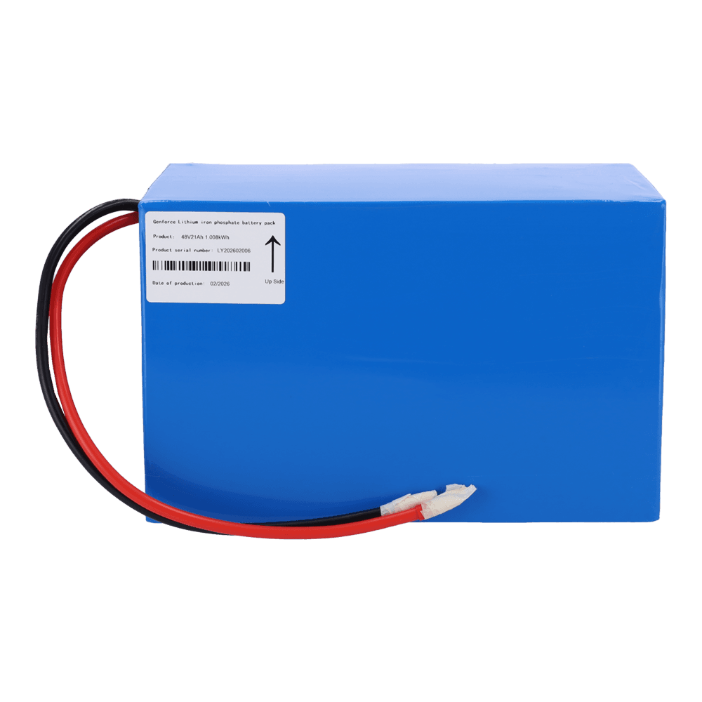 GE-48V21A-LT - imagen 3