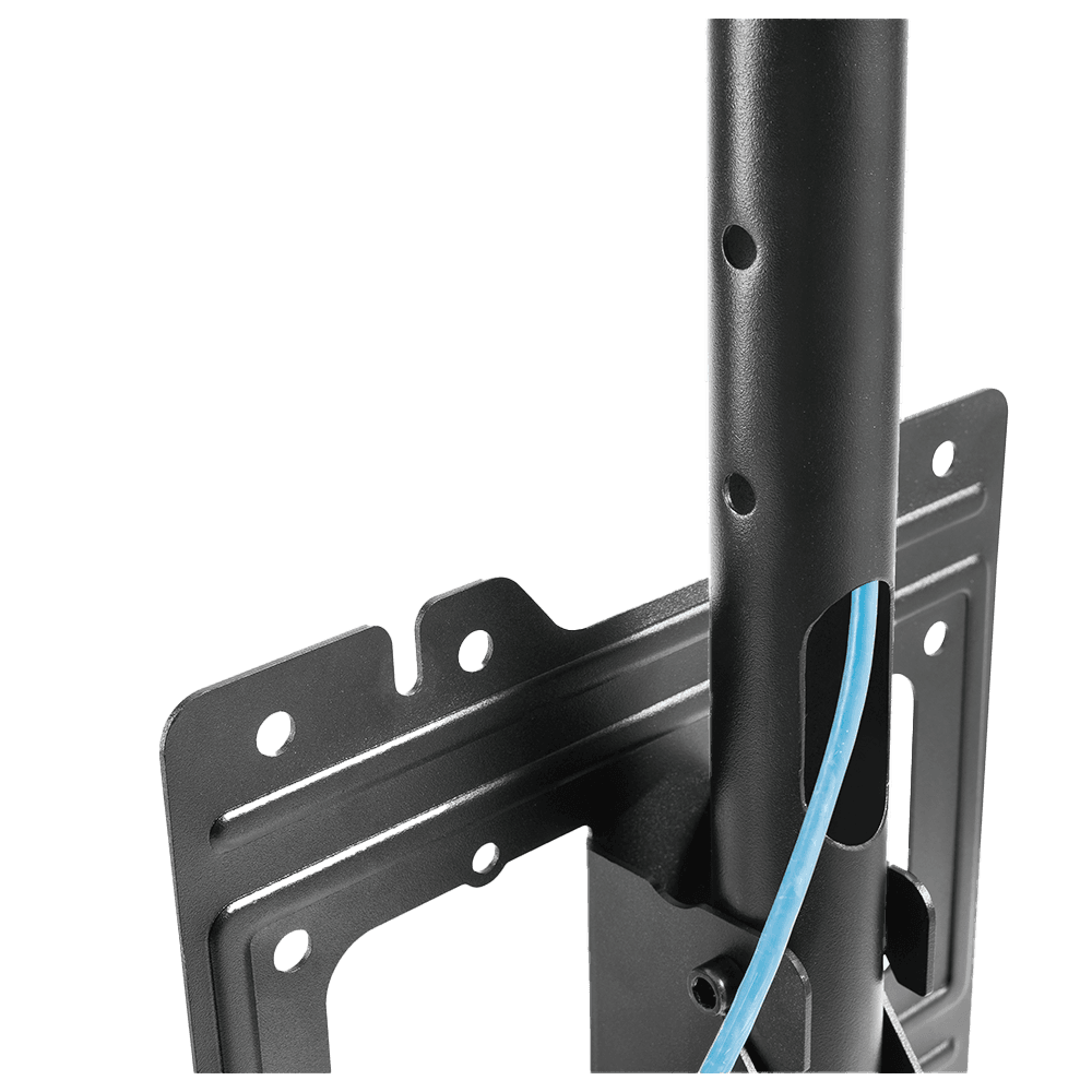 PLB-CE1022-01 - imagen 2