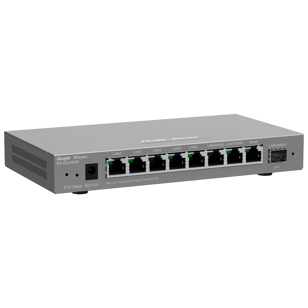 RG-EG209GS - imagen 2