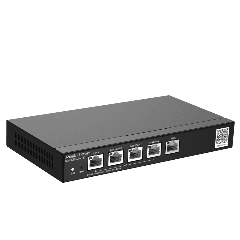 RG-EG305GH-P-E - imagen 4