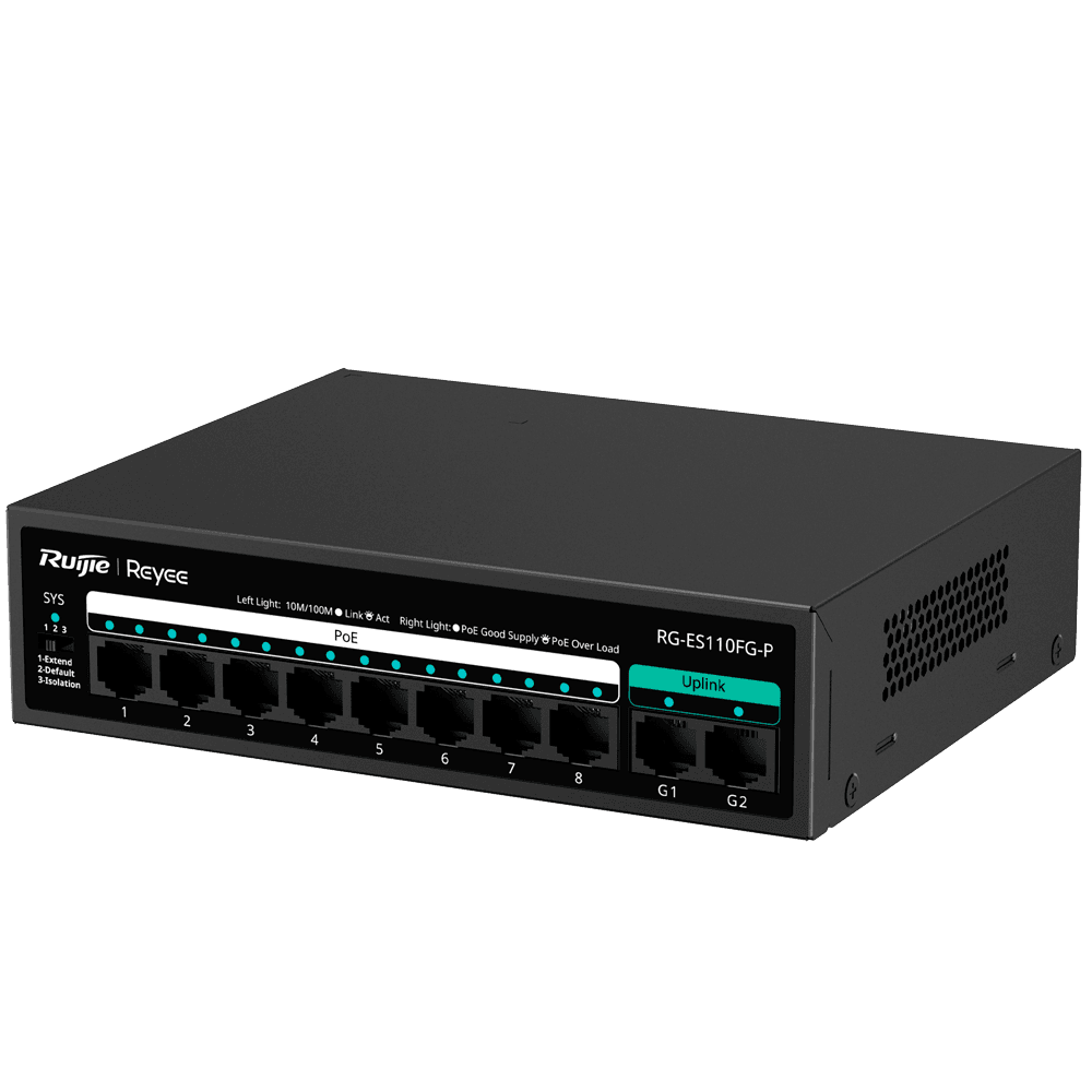 RG-ES110FG-P - imagen 2