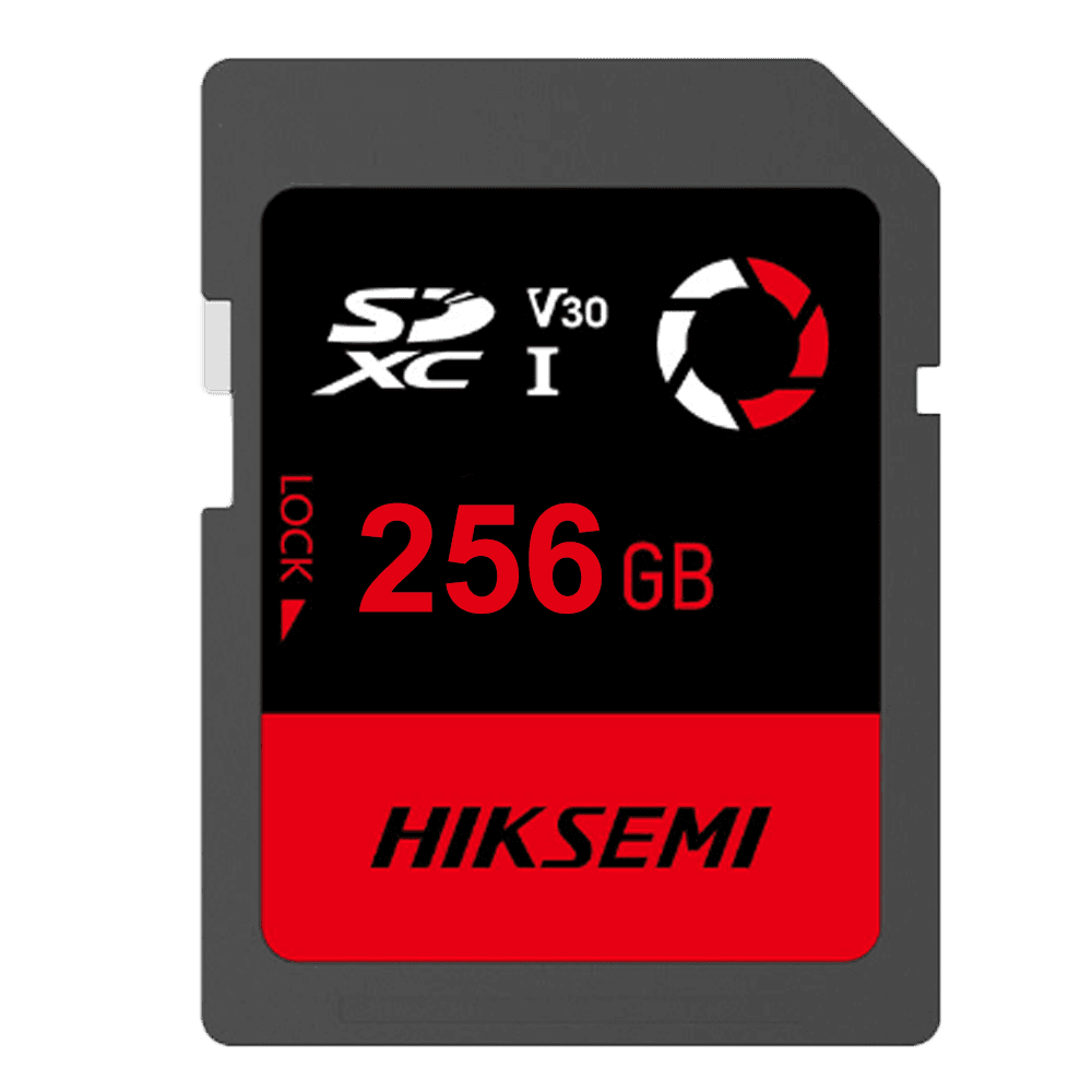 HS-SD-E30STD_256G_CAPTURE_W