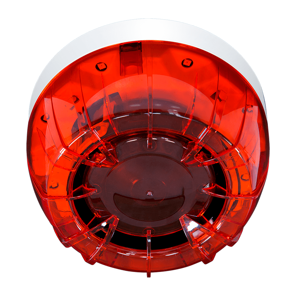 TF-TF5TFIS01