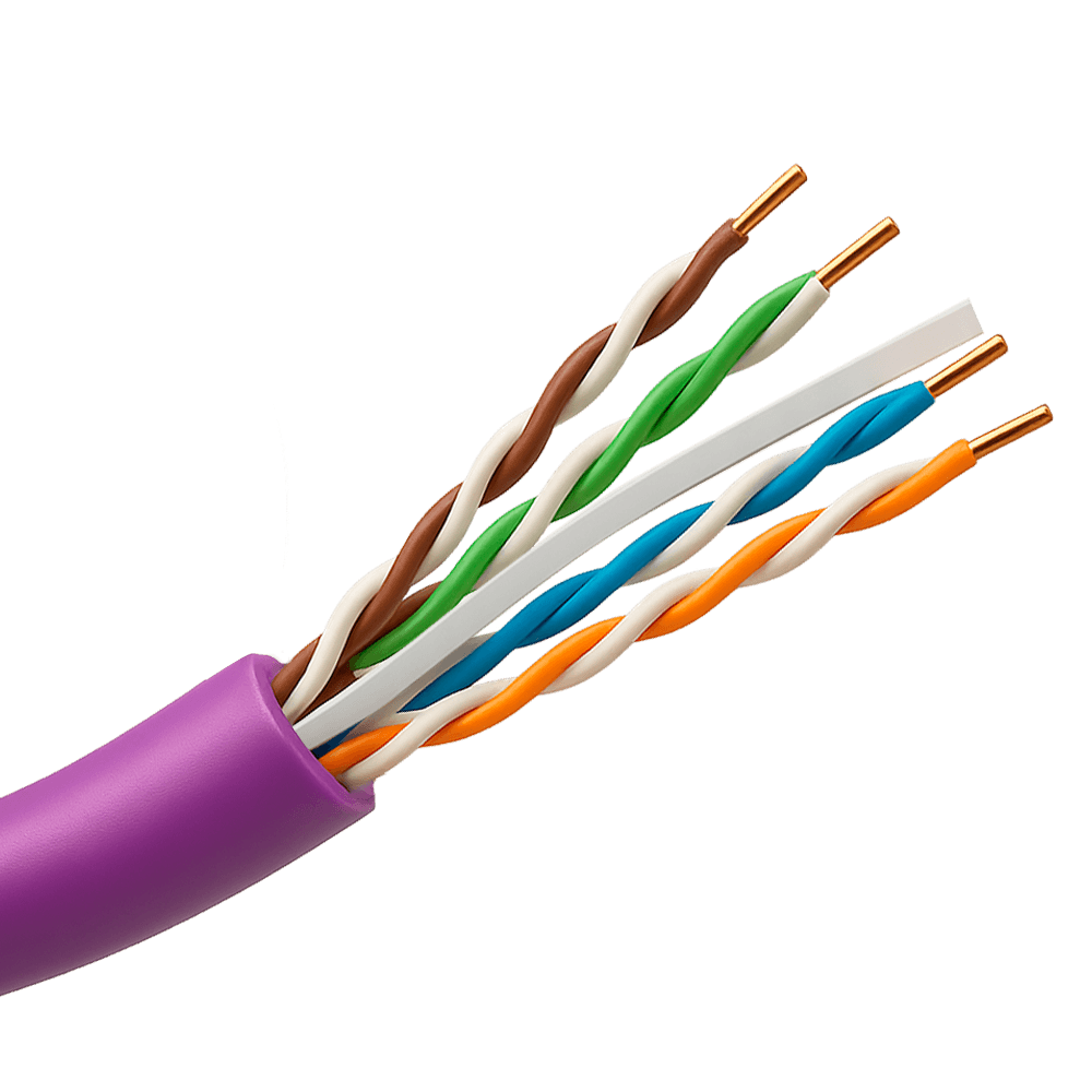 UTP6-305-BC-H-Dca-PURPLE
