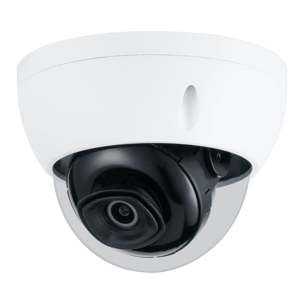XS-IPD842SW-2P-AI